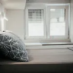 Modern Duplex Studio Tommy